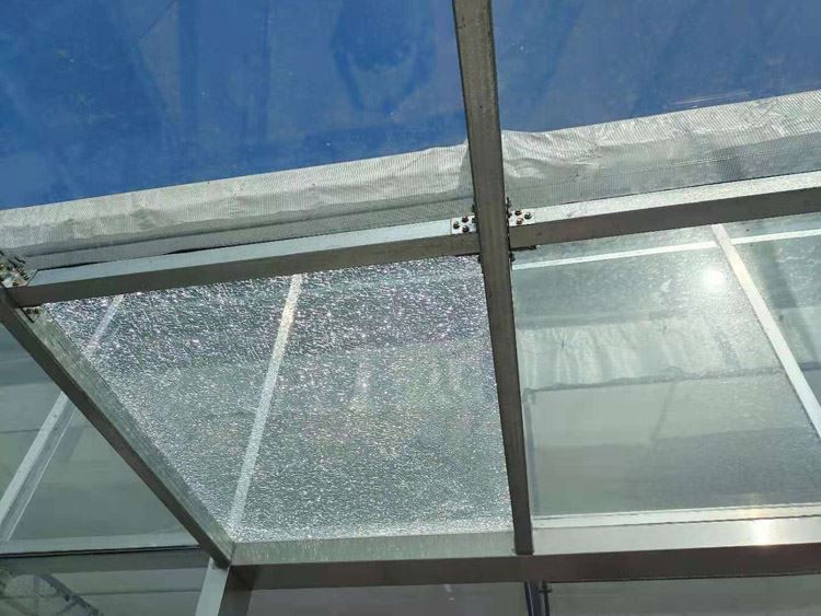 guidelines for use of greenhouses