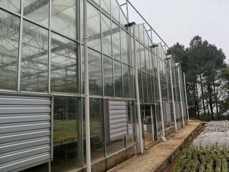 What are the common styles of greenhouses What are the common styles of greenhouses