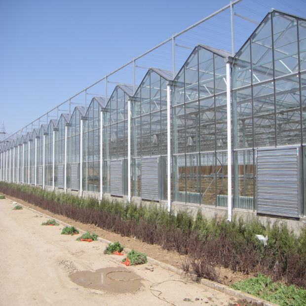 Multi-building intelligent greenhouse design
