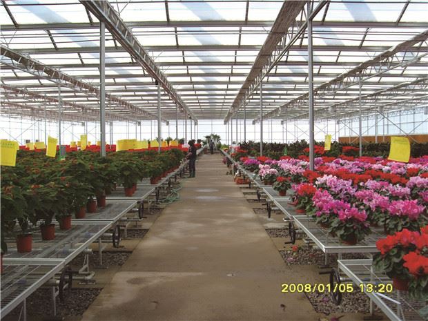solar greenhouse