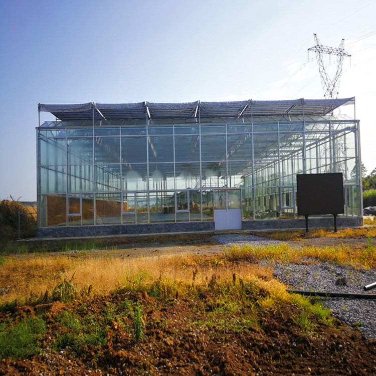 Advantages of the new smart greenhouse Advantages of the new smart greenhouse