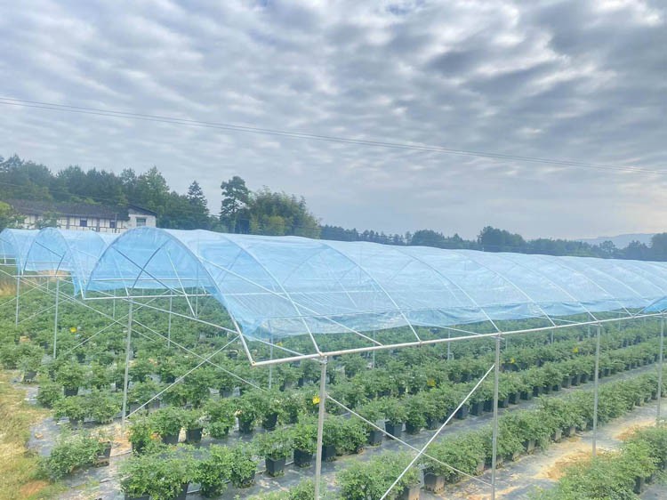 Types and thicknesses of plastic film for greenhouses