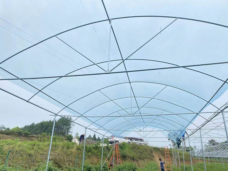 plastic film for greenhouses