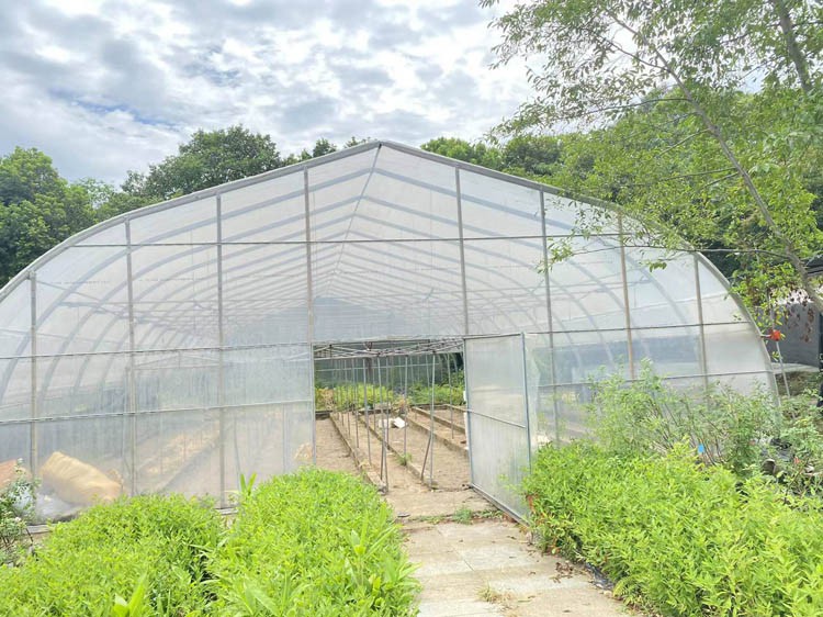 Greenhouse construction must consider its durability, how to manage it correctly