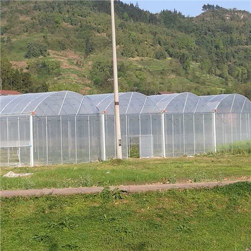 6 Mil Kas Plastic Home Depot