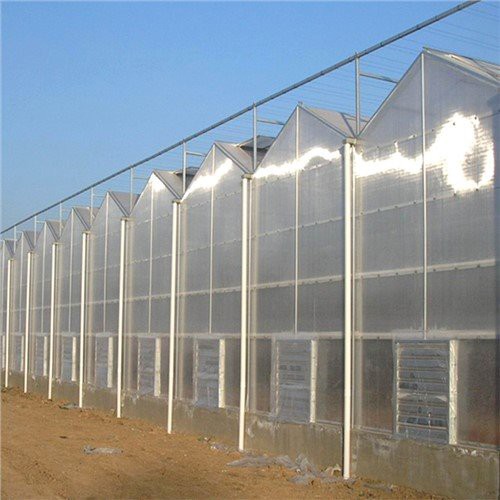 Landbouw Multi-span kas