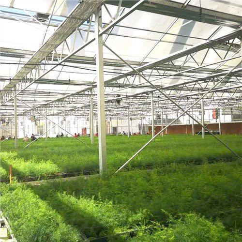Huis Moestuin Kas