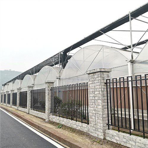 Plastic Dome Kas