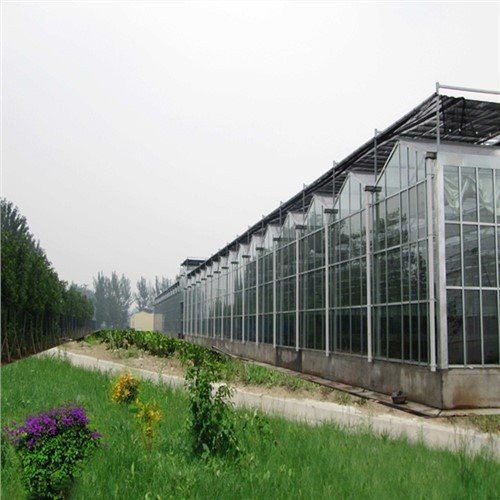 Victoriaans glas Venlo -type kas