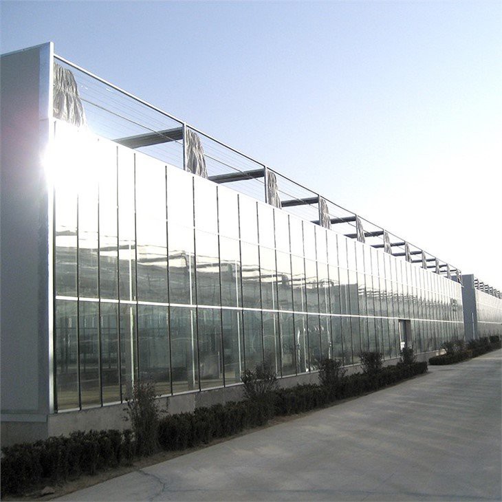 Transparent Multi Span Greenhouse supplier