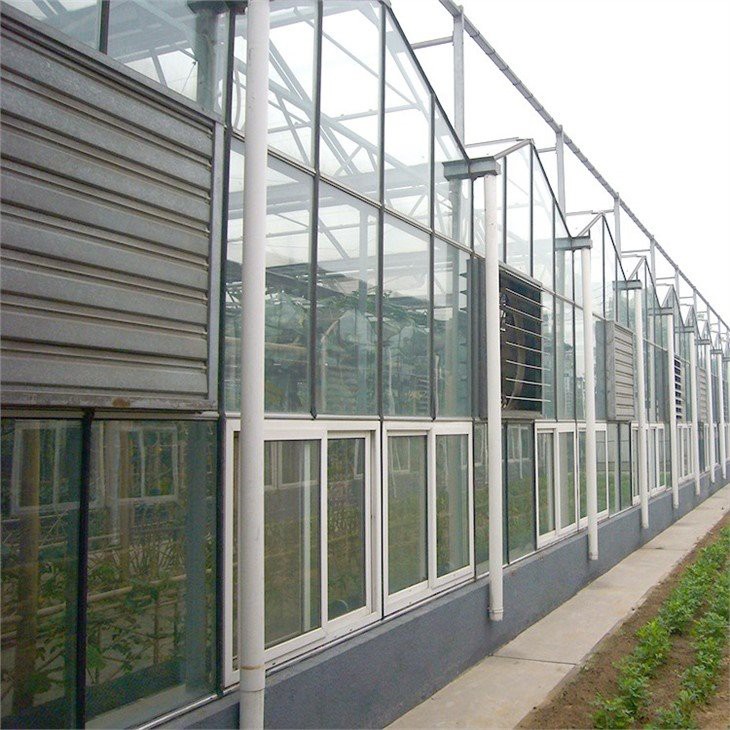 Zigzag multi-span greenhouse china