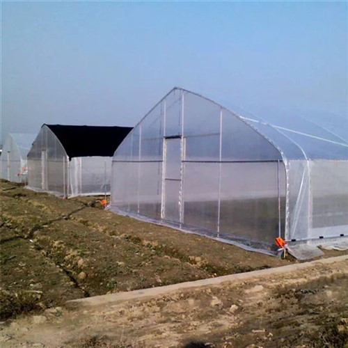 Leveranciers van plastic foliekas met ventilatiesysteem